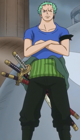 File:Zoro's Zou Outfit.png