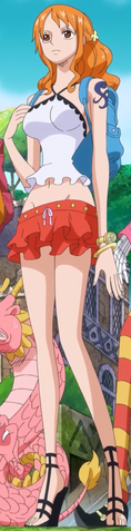 File:Nami's First Zou Outfit.png