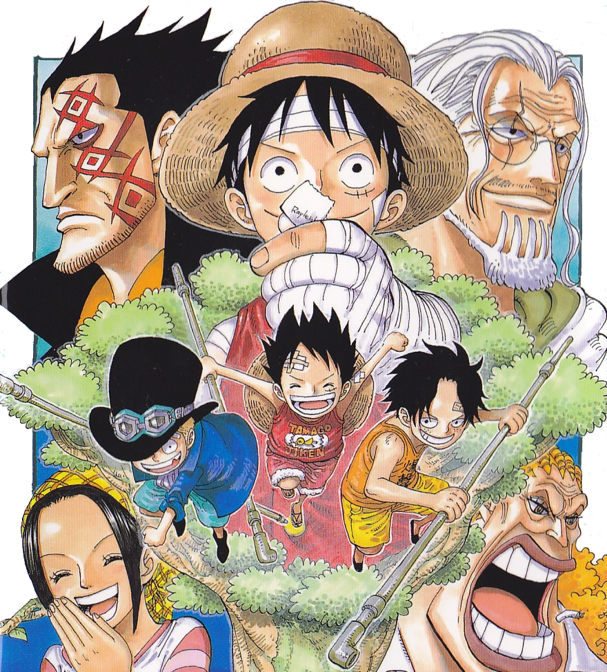 Arc Le Plus Long De One Piece