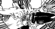 205px-Chopper dosun.png