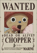 Arquivo:120px-Chopperbounty.jpg