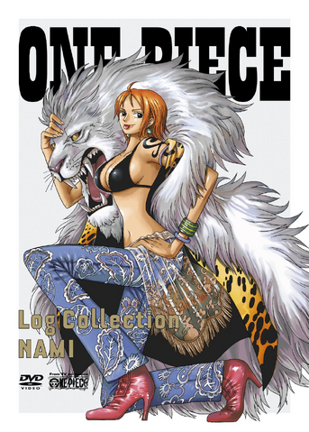 File:Log Collection NAMI.png