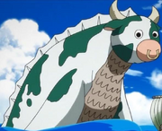 Mohmoo-0.png