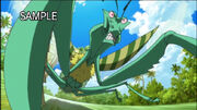 Don kamakiriri