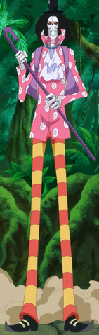File:Brook First Zou Outfit.png