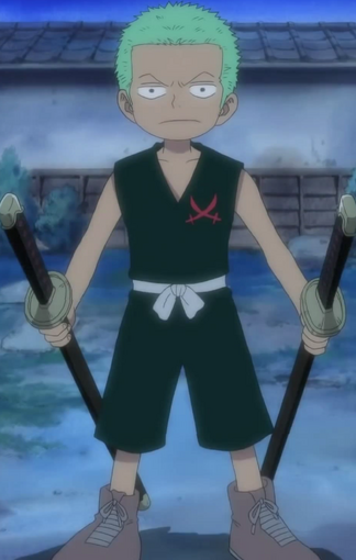 File:Zoro Kid.png
