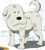 Chouchou.png
