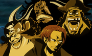 Yonko Infobox