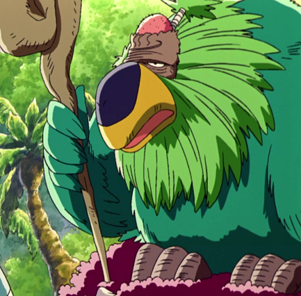 bald one piece characters bald one piece characters