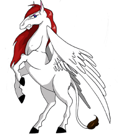 Pegasus