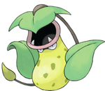 Bakku pakku1