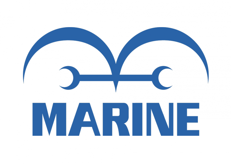Marine One Piece Fantasy Wiki FANDOM powered by Wikia