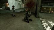 Headshot