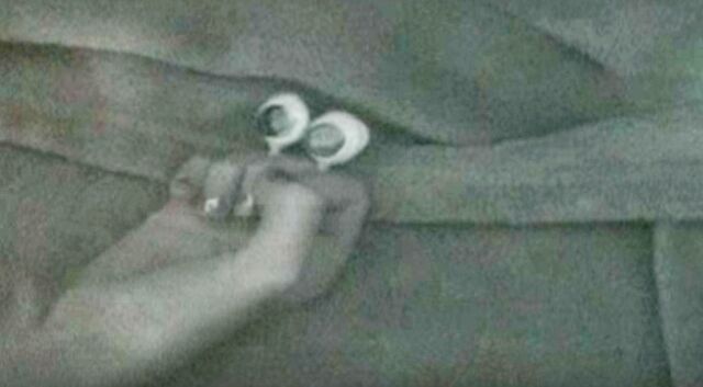 File:Oobi Babies Night Crawlers.jpg