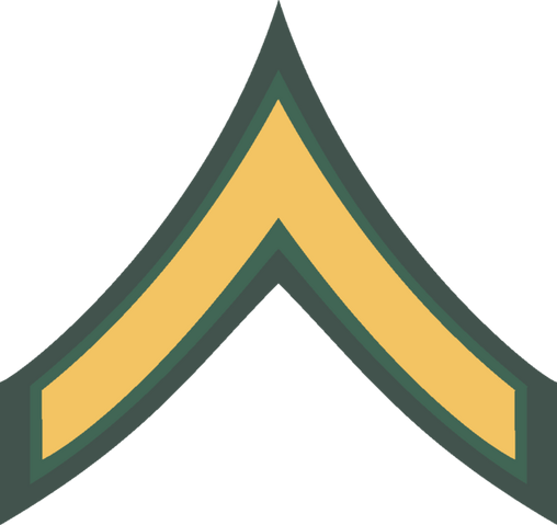 File:Privatepatch.png