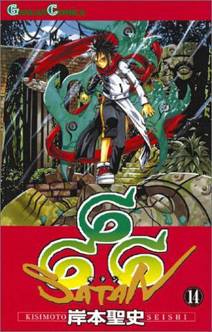 File:Volume 14.jpg