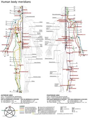 Chinese meridians-1-