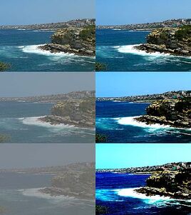 Photot