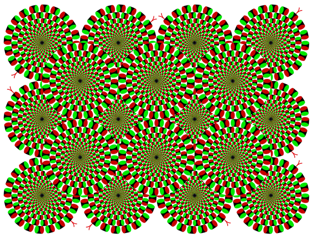 File:Rotsnake7.gif