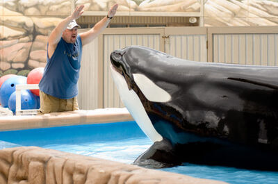 Larry and taima