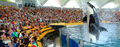 Thumbnail for version as of 03:21, August 14, 2012