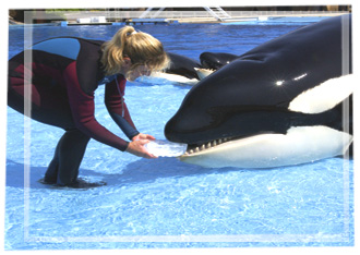 Kasatka 2