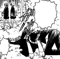 Hide
