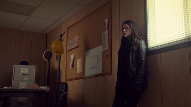 File:OrphanBlackS01E091274.jpg