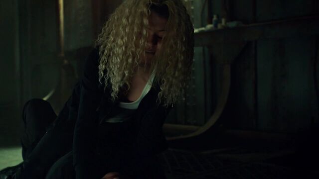 File:OrphanBlackS01E092241.jpg