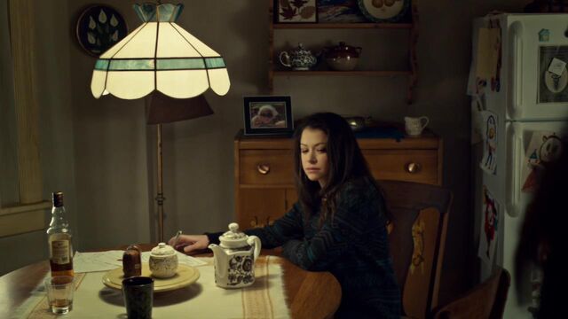 File:OrphanBlackS01E08-2107.jpg