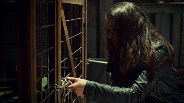 File:OrphanBlackS01E092118.jpg