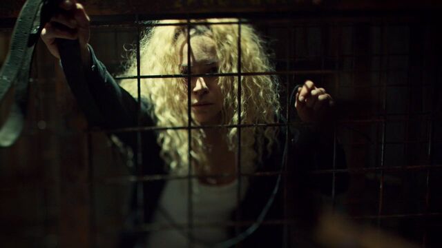 File:OrphanBlackS01E091177.jpg