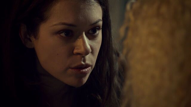 File:OrphanBlackS01E10 0225.jpg