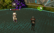 Ruinportal