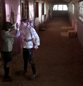 Stables