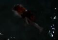 Thumbnail for version as of 09:13, April 15, 2014