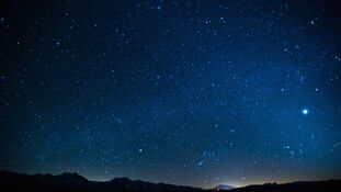 Stars-49