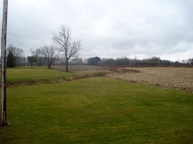 File:Branch creek west.jpg
