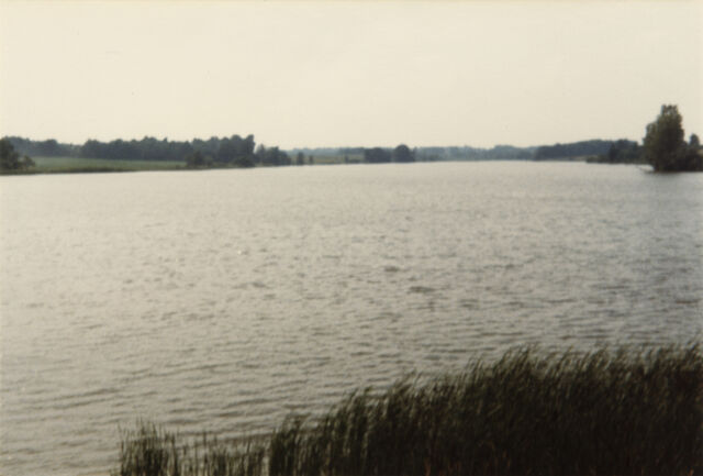 File:2010OL001.007.jpg