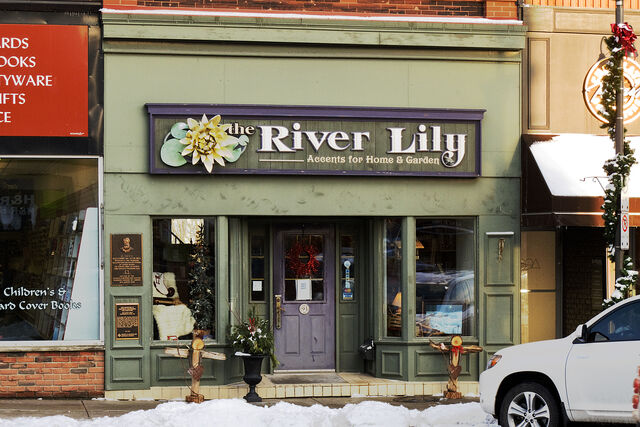 File:River Lily.jpg
