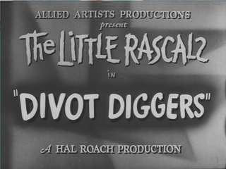 Divotdiggerstitle