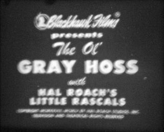 Olgrayhossblackhawk