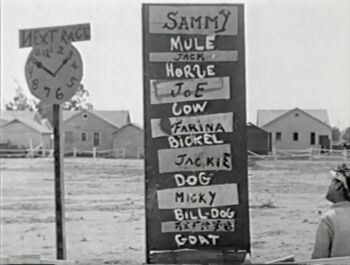 DerbyDayToteBoard