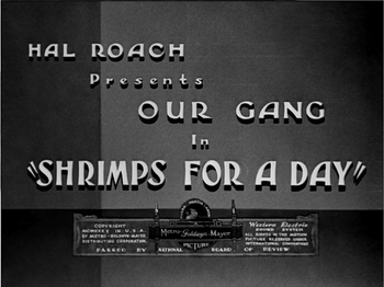Shrimpsforaday