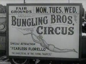 Bungling