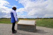 IMG 1652