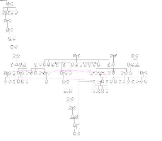 File:Outlander Family Tree.png