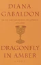 Dragonfly in Amber (205 KB) Dragonfly in Amber