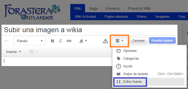 Archivo:Crear-pagina-4.png