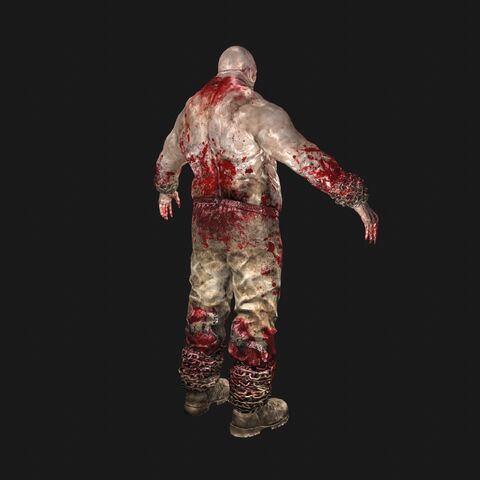 Fichier:WalkerPerspBack.jpeg